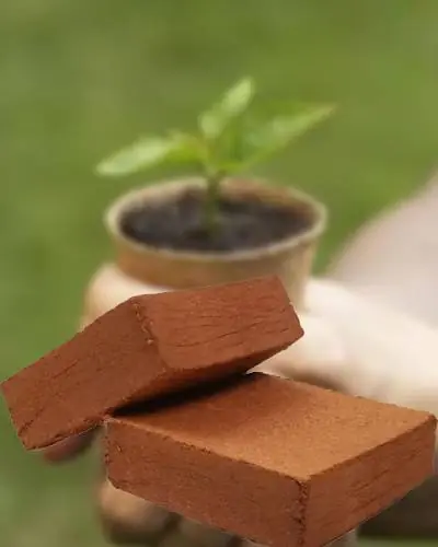 5kg Block Coco Peat