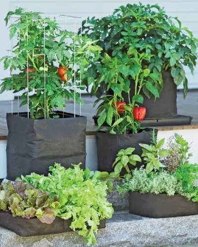Grow Bag
